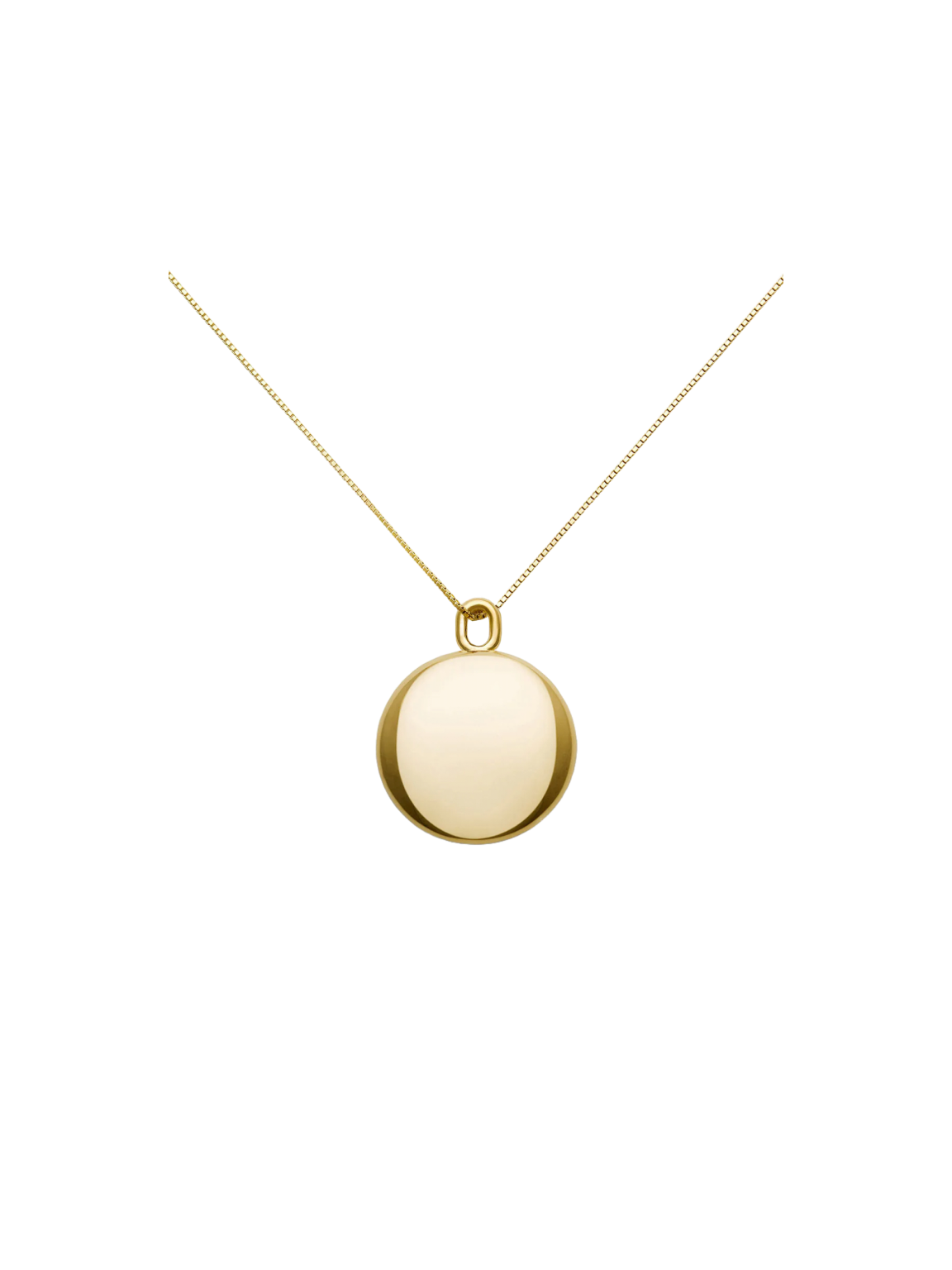 Shell No.1 Medium Necklace